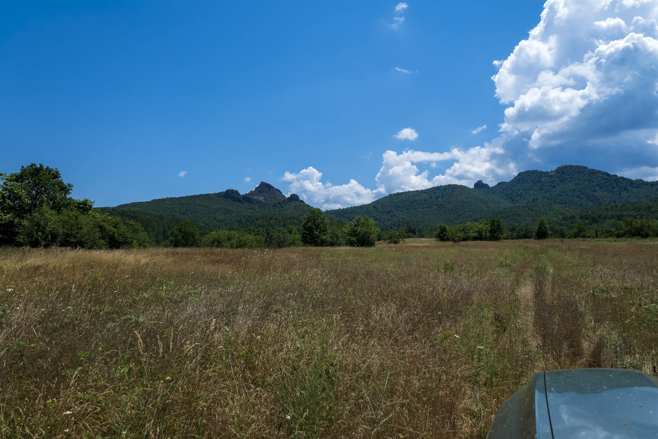 26.802 m² gemengd loofbos in Belogradchik - Bulgarije