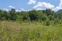26.802 m² gemengd loofbos in Belogradchik - Bulgarije