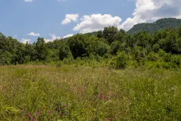26.802 m² gemengd loofbos in Belogradchik - Bulgarije
