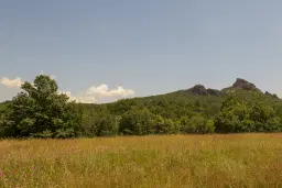 Gemengd loofbos 26.802 m² in Belogradchik - Bulgarije