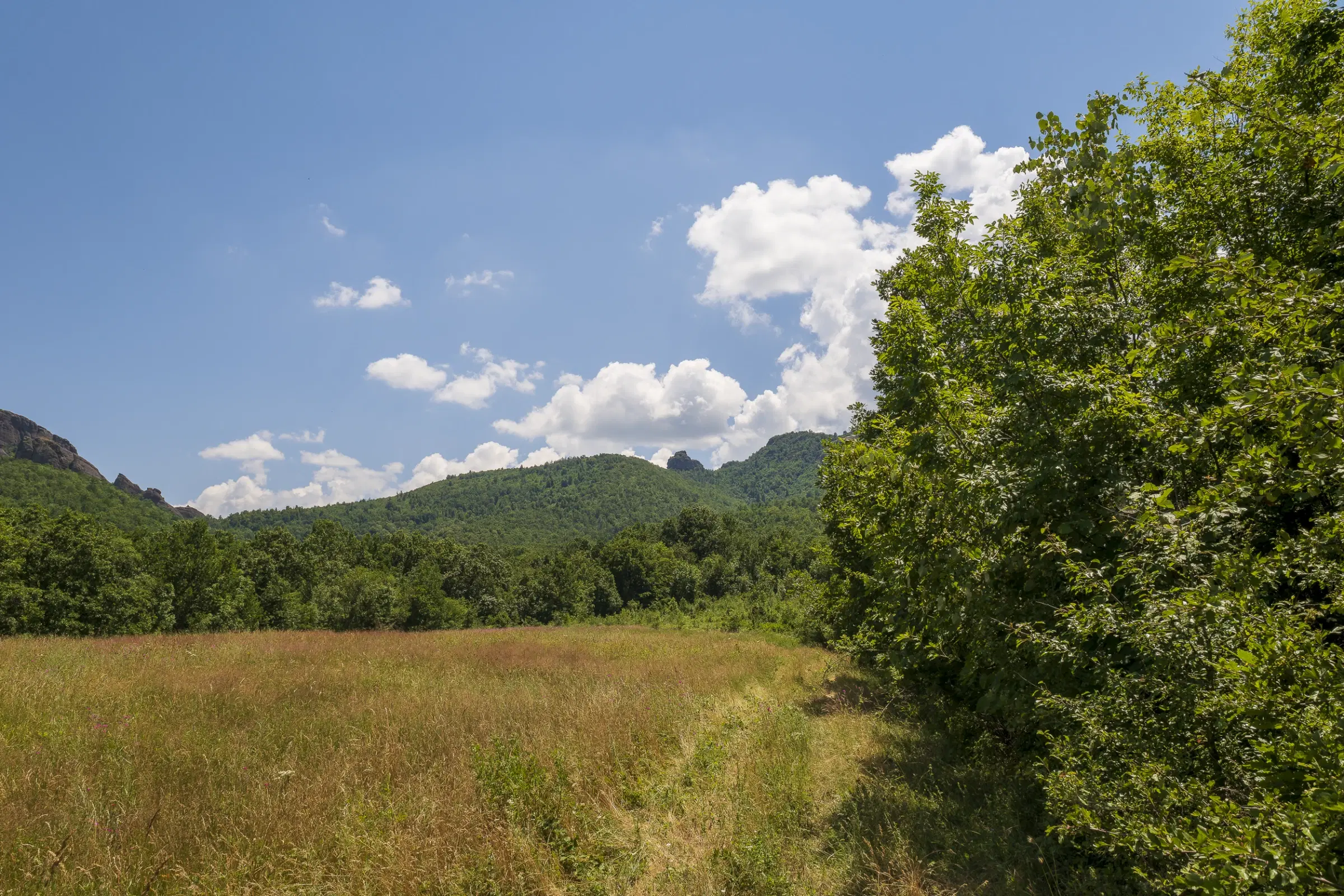 Gemengd loofbos 26.802 m² in Belogradchik - Bulgarije