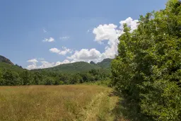 26.802 m² gemengd loofbos in Belogradchik - Bulgarije