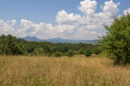 26.802 m² gemengd loofbos in Belogradchik - Bulgarije