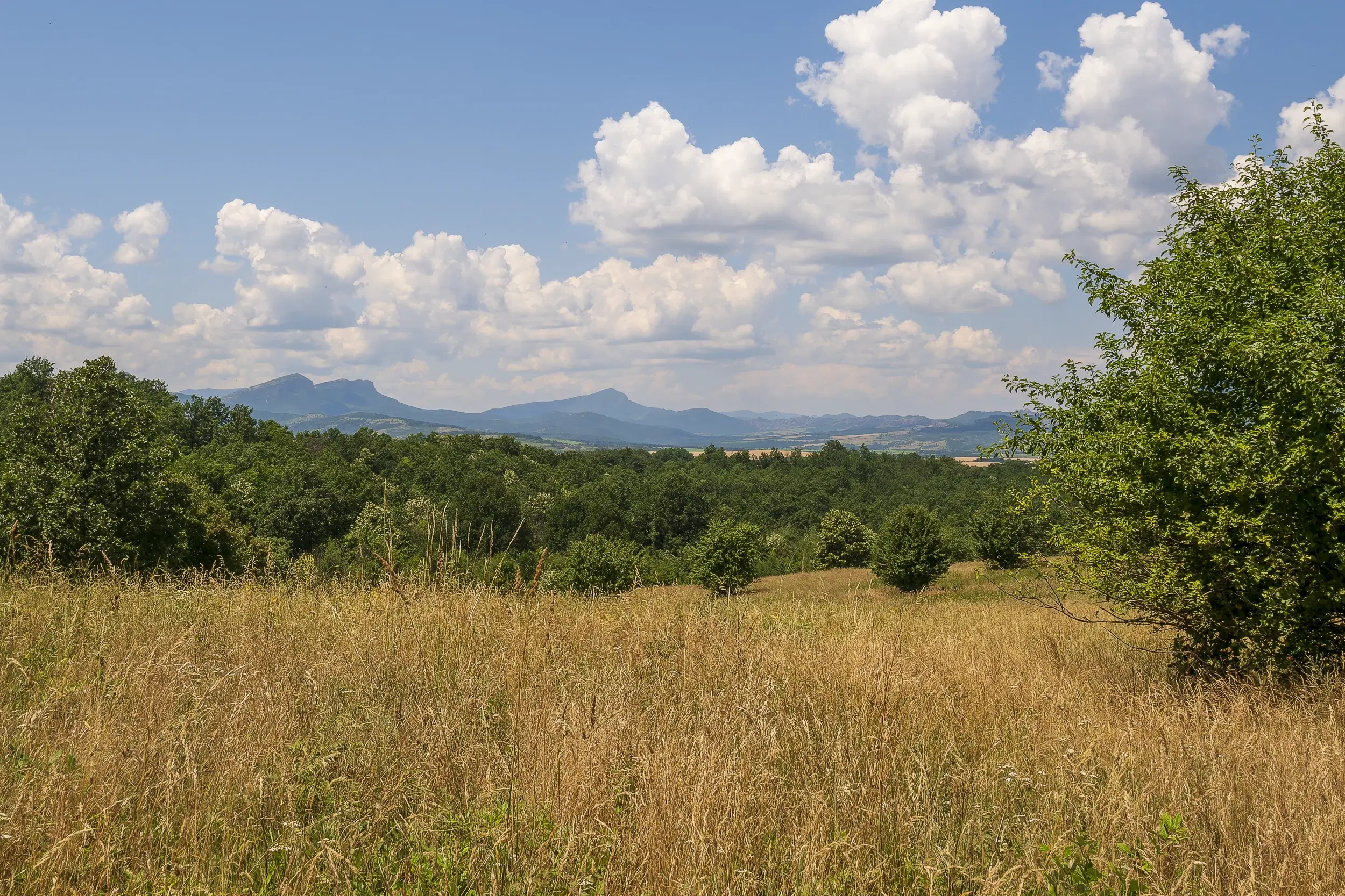 26.802 m² gemengd loofbos in Belogradchik - Bulgarije