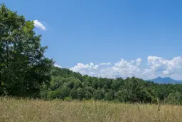 26.802 m² gemengd loofbos in Belogradchik - Bulgarije
