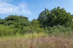 26.802 m² gemengd loofbos in Belogradchik - Bulgarije