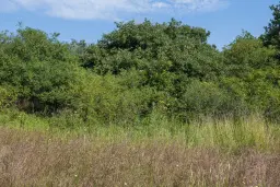 Gemengd loofbos 26.802 m² in Belogradchik - Bulgarije