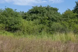 26.802 m² gemengd loofbos in Belogradchik - Bulgarije