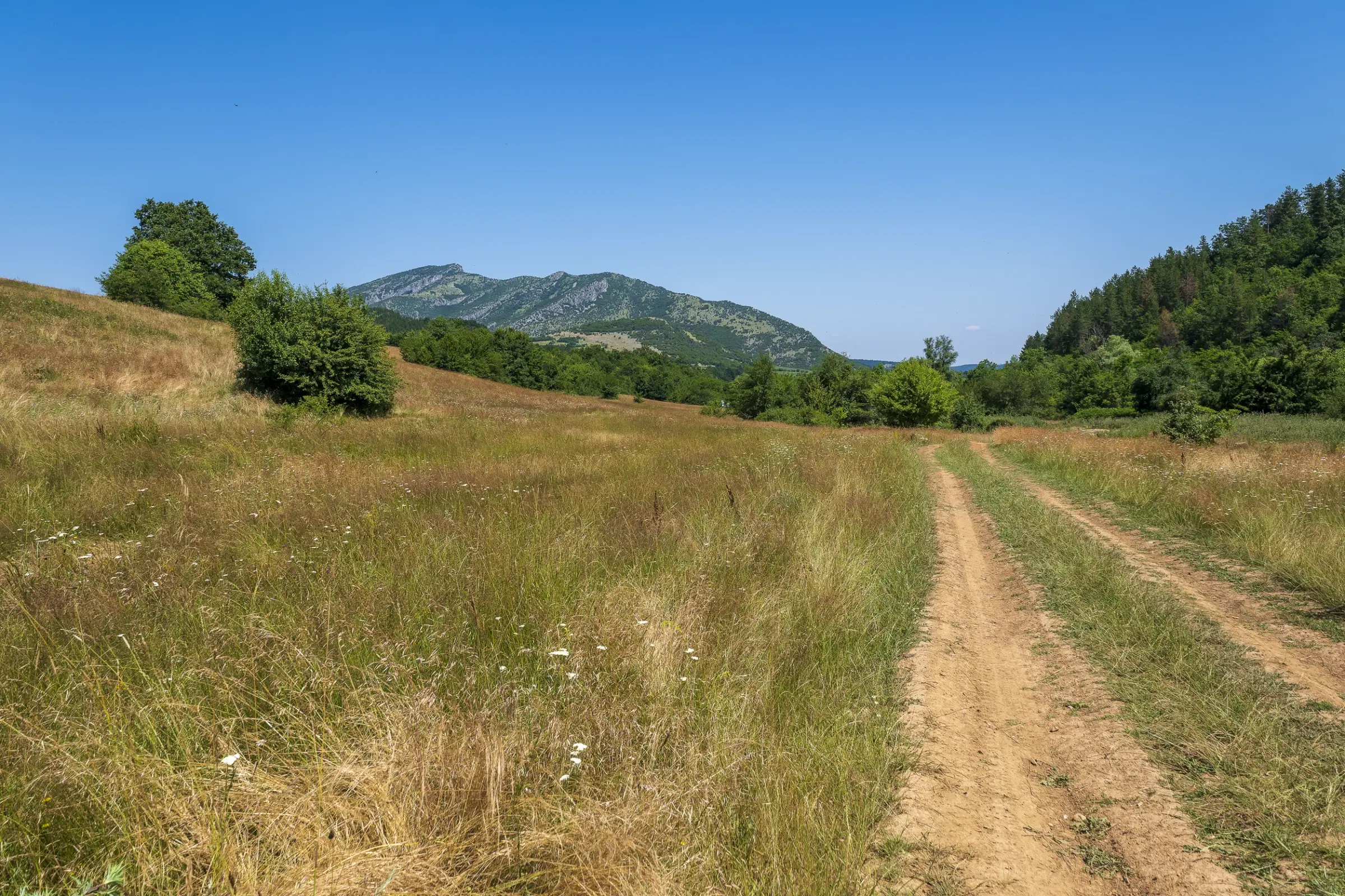 Gemengd loofbos 26.802 m² in Belogradchik - Bulgarije