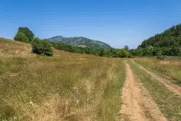 26.802 m² gemengd loofbos in Belogradchik - Bulgarije