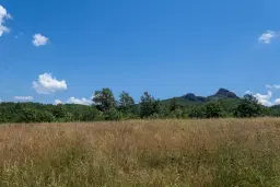 Gemengd loofbos 26.802 m² in Belogradchik - Bulgarije