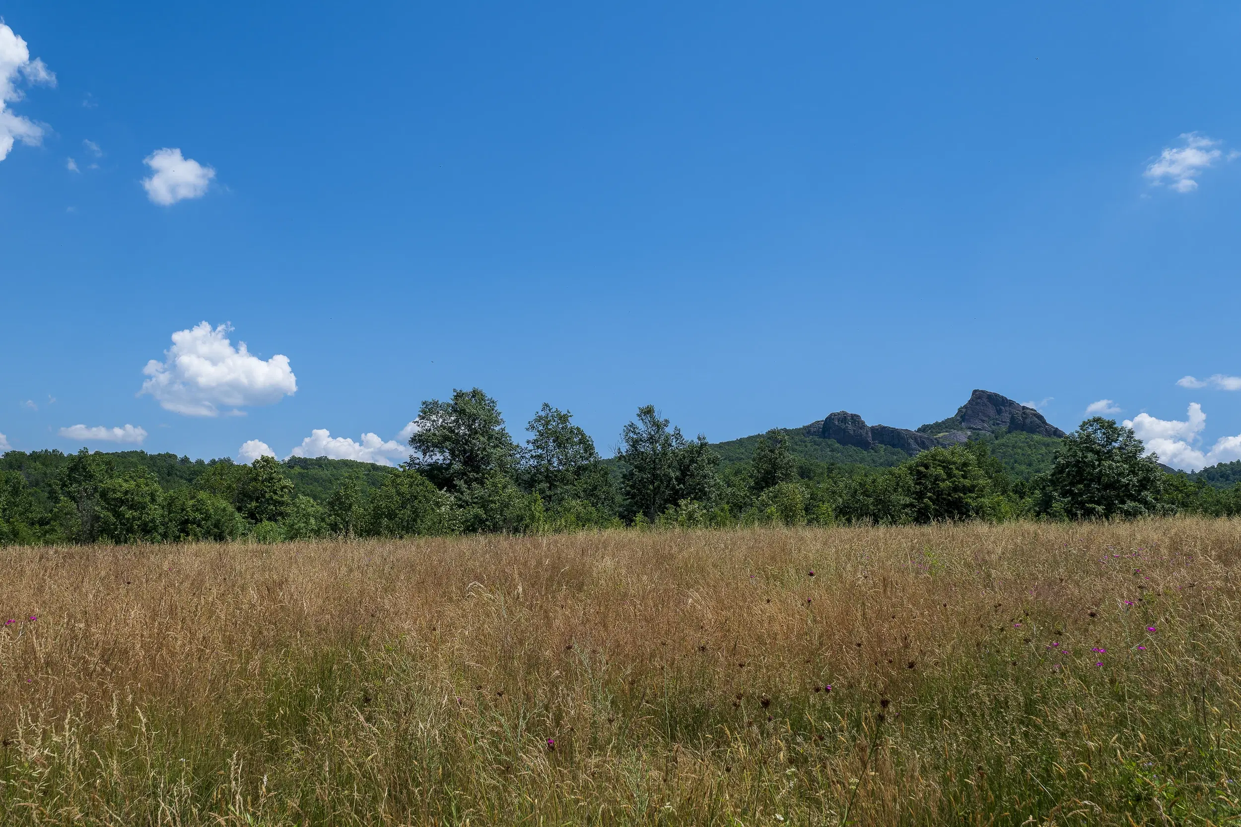 26.802 m² gemengd loofbos in Belogradchik - Bulgarije