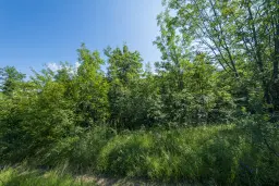 21.902 m² gemengd loofbos in Belogradchik - Bulgarije