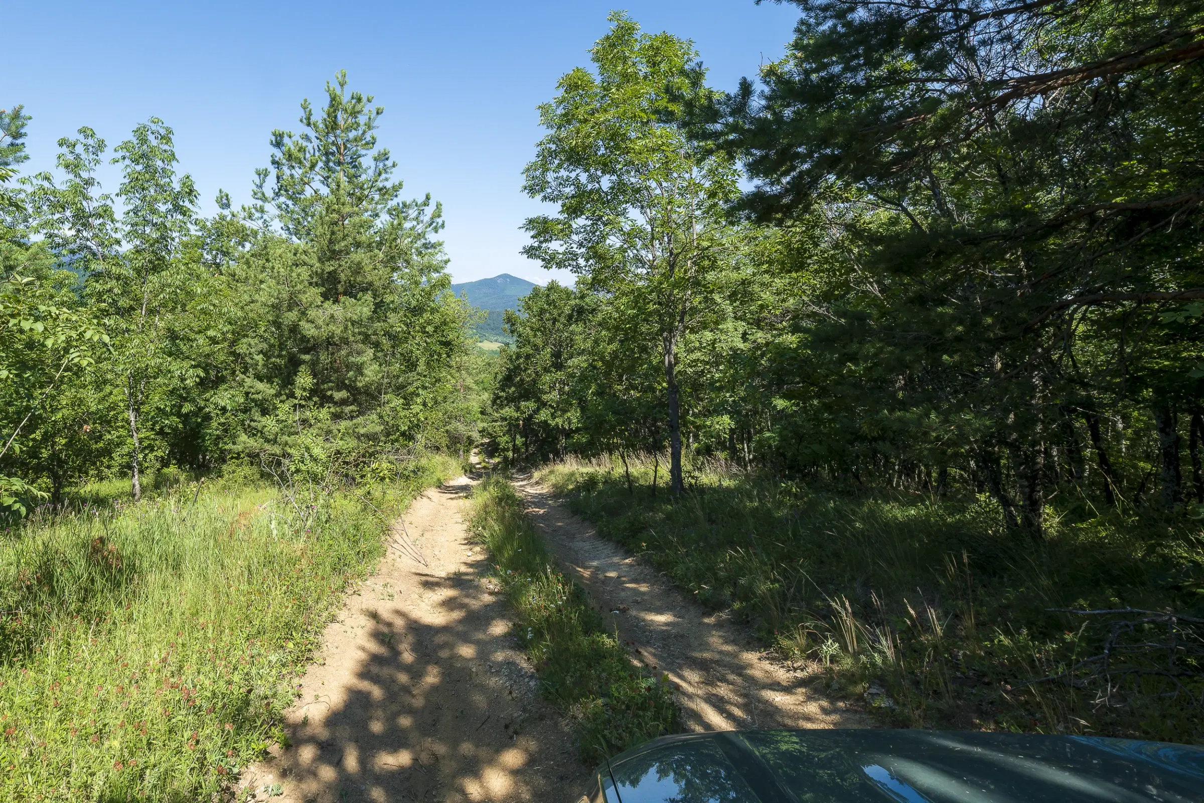 Gemengd loofbos, 21.902 m² in Belogradchik - Bulgarije
