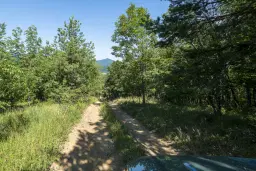 21.902 m² gemengd loofbos in Belogradchik - Bulgarije