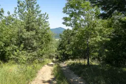21.902 m² gemengd loofbos in Belogradchik - Bulgarije