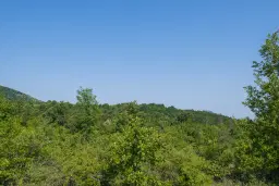 23.781 m² gemengd loofbos in de regio Vidin - Bulgarije
