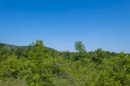 23.781 m² gemengd loofbos in de regio Vidin - Bulgarije