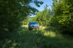 23.781 m² gemengd loofbos in de regio Vidin - Bulgarije