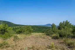 23.781 m² gemengd loofbos in de regio Vidin - Bulgarije