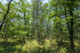 49.509 m² gemengd loofbox in Belogradchik - Bulgarije