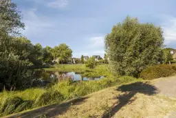 Cuijk, Penningkruid 70
