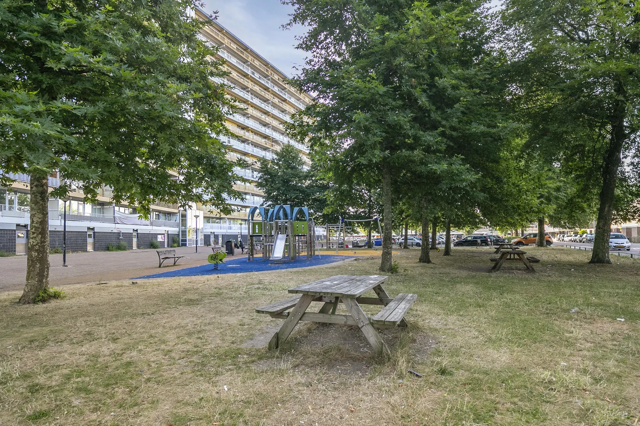 Zaandam, Pharus 18