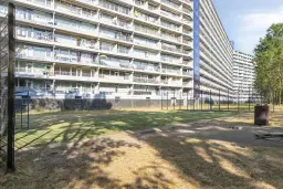 Zaandam, Pharus 18
