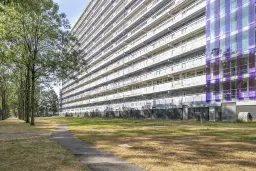Zaandam, Pharus 18