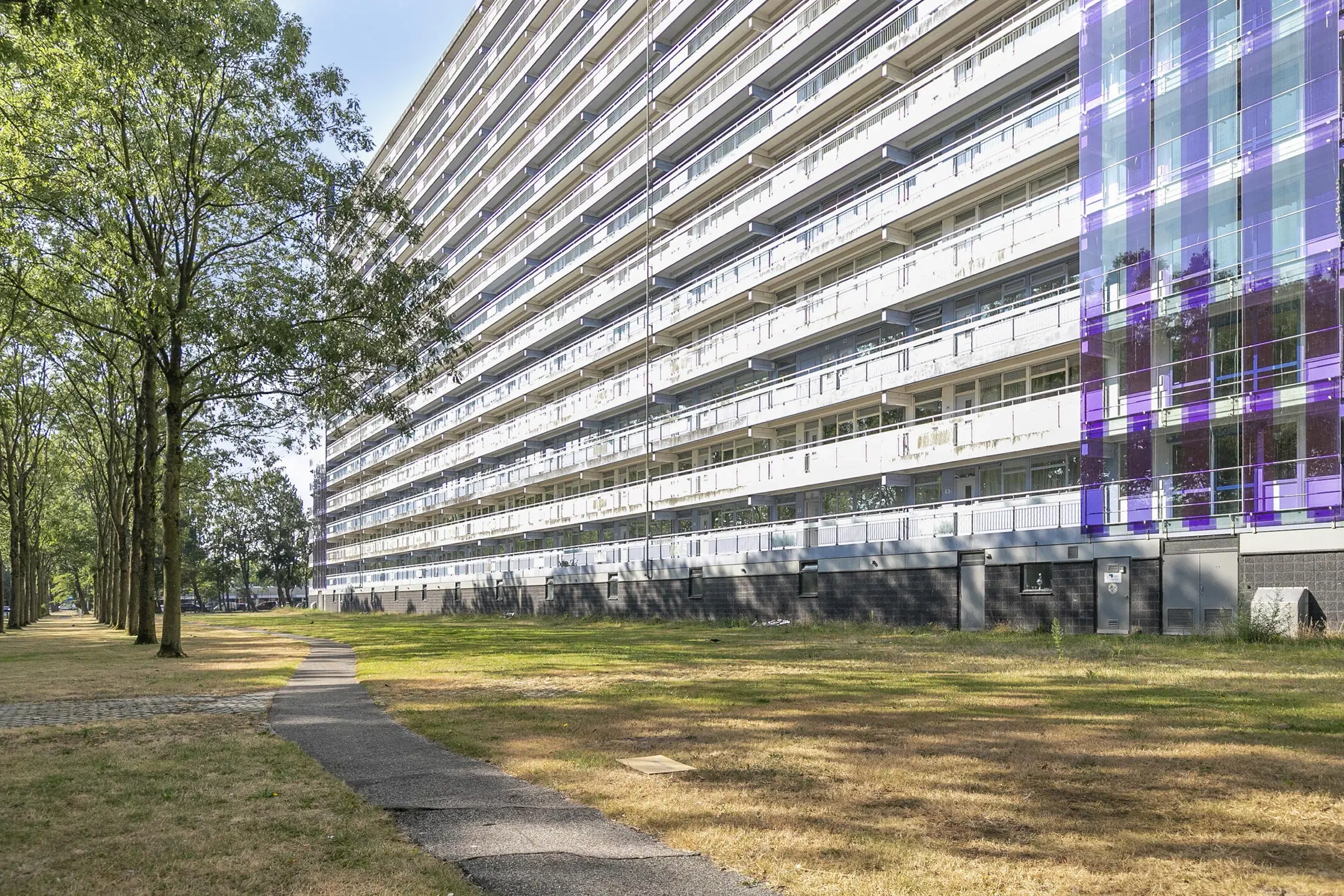 Zaandam, Pharus 18