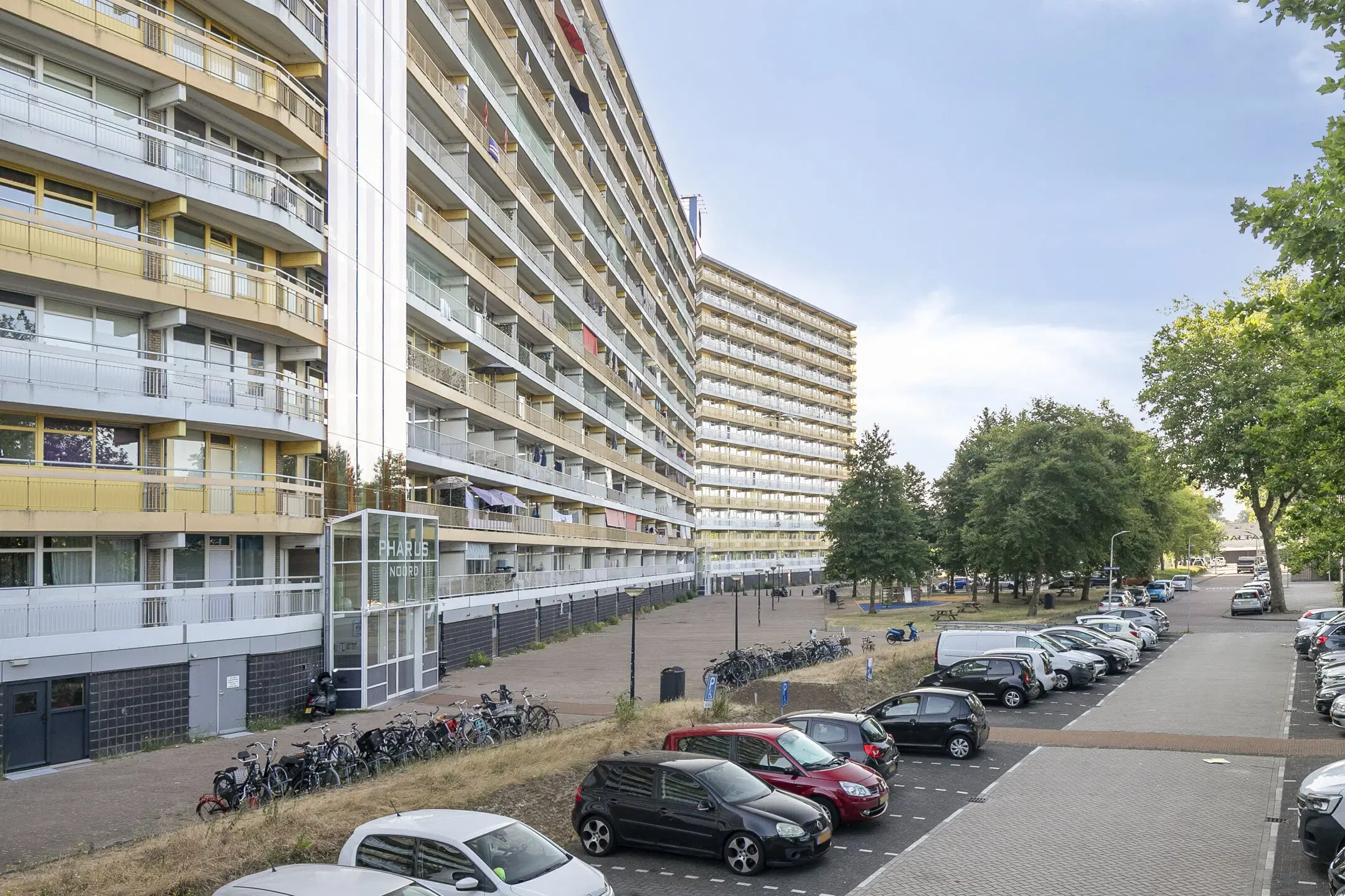 Zaandam, Pharus 18