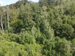 Eigendomsperceel van 701 m² aan de rand van Gummersbach, nabij Winterberg - Duitsland