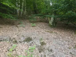 Eigendomsperceel van 701 m² aan de rand van Gummersbach, nabij Winterberg - Duitsland