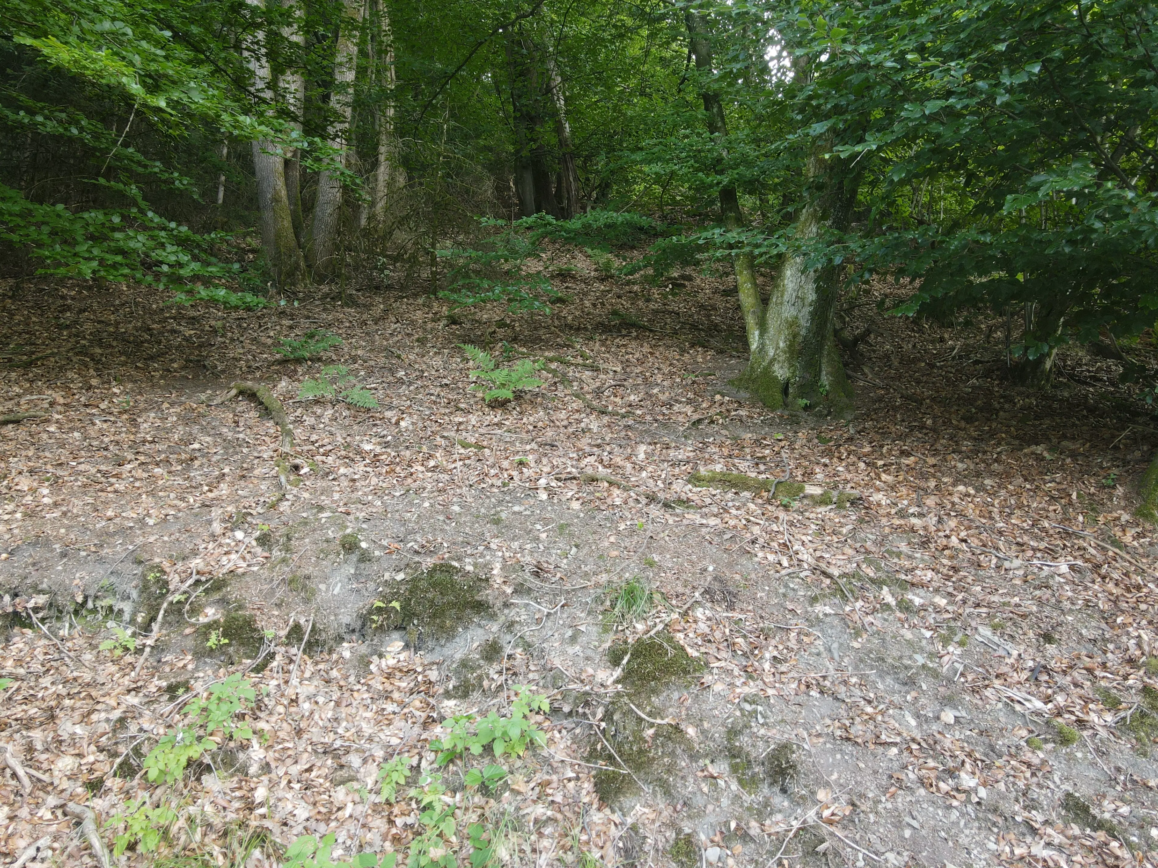 Eigendomsperceel van 701 m² aan de rand van Gummersbach, nabij Winterberg - Duitsland