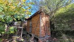 Huis en 790 m² grond en bijgebouwen in Kireevo - Bulgarije