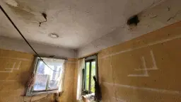 Huis en 790 m² grond en bijgebouwen in Kireevo - Bulgarije