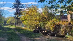 Huis en 790 m² grond en bijgebouwen in Kireevo - Bulgarije