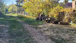 Huis en 790 m² grond en bijgebouwen in Kireevo - Bulgarije