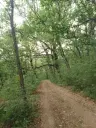 7.499 m² bosgrond (twee percelen) - Kostel, Veliko Tarnovo - Bulgarije