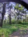 7.499 m² bosgrond (twee percelen) - Kostel, Veliko Tarnovo - Bulgarije
