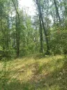 7.499 m² bosgrond (twee percelen) - Kostel, Veliko Tarnovo - Bulgarije