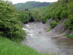 7.499 m² bosgrond (twee percelen) - Kostel, Veliko Tarnovo - Bulgarije