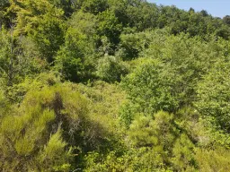 Eigendomsperceel 498 m² in Zell, Cochem - Duitsland