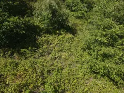 Eigendomsperceel 498 m² in Zell, Cochem - Duitsland