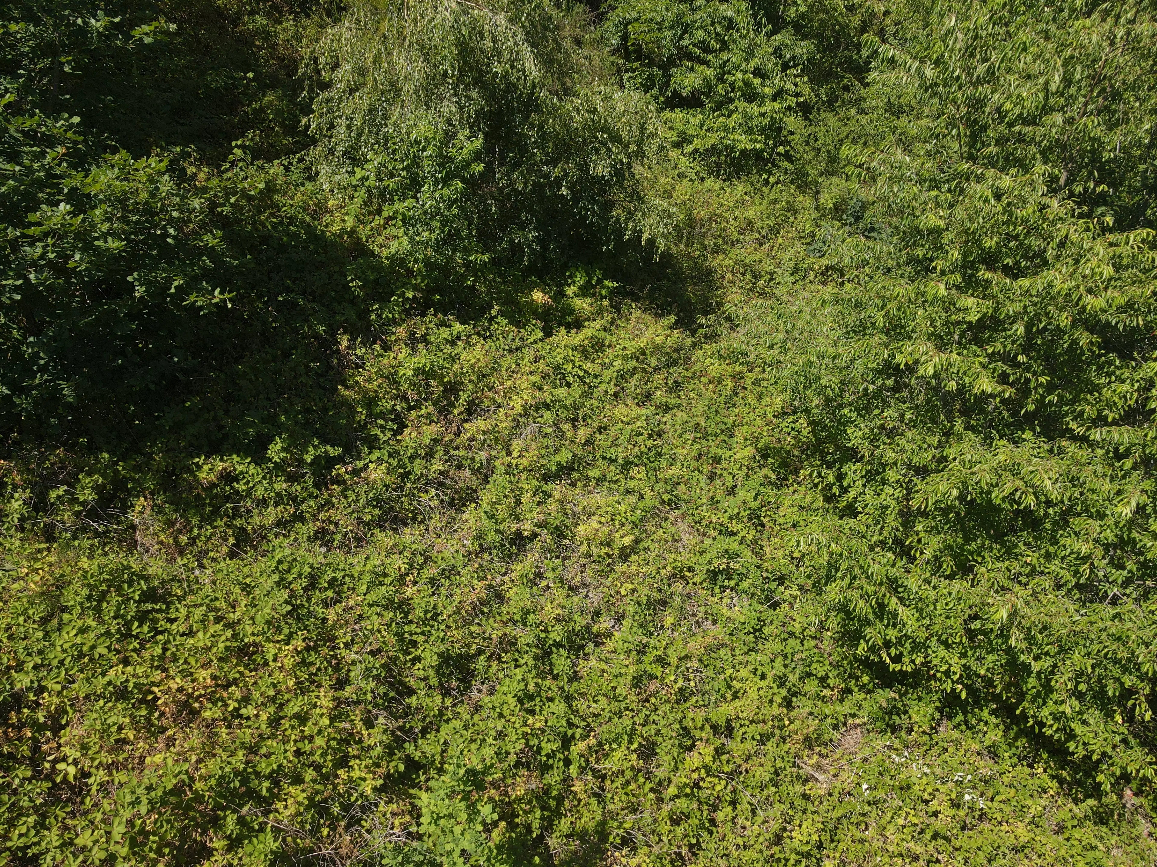 Eigendomsperceel 498 m² in Zell, Cochem - Duitsland