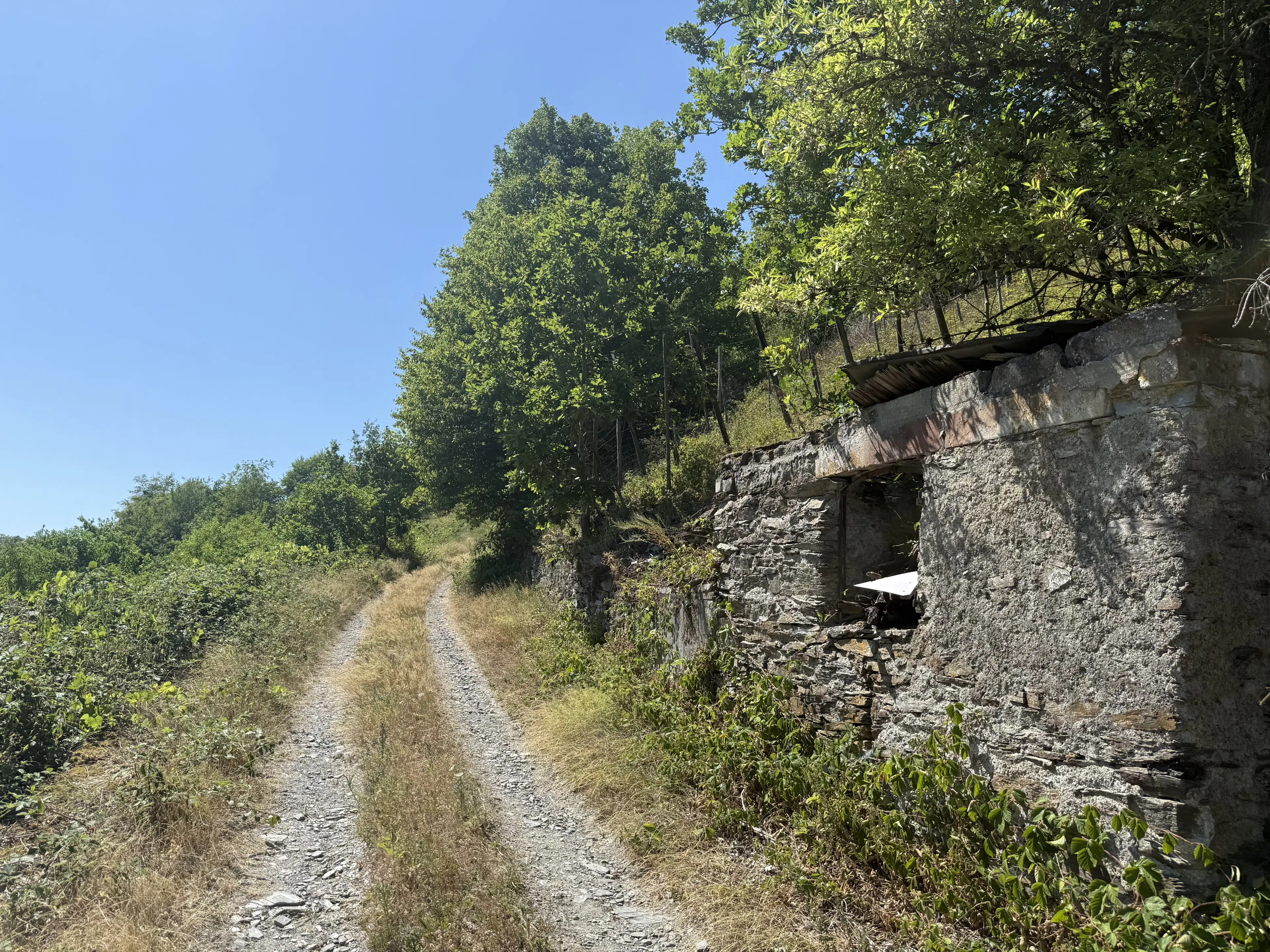 Eigendomsperceel 498 m² in Zell, Cochem - Duitsland