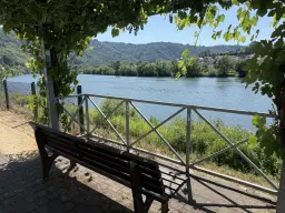 Eigendomsperceel 498 m² in Zell, Cochem - Duitsland