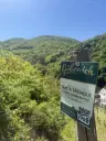 972 m² wijngaard met Riesling in Zell, Cochem - Duitsland