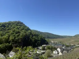 972 m² wijngaard met Riesling in Zell, Cochem - Duitsland