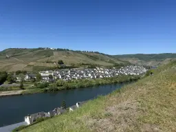 972 m² wijngaard met Riesling in Zell, Cochem - Duitsland